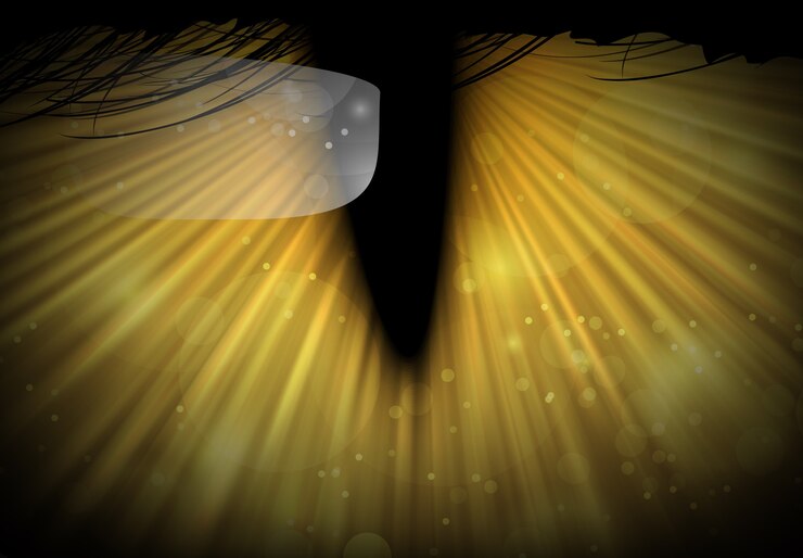 Vector wild cat eye
