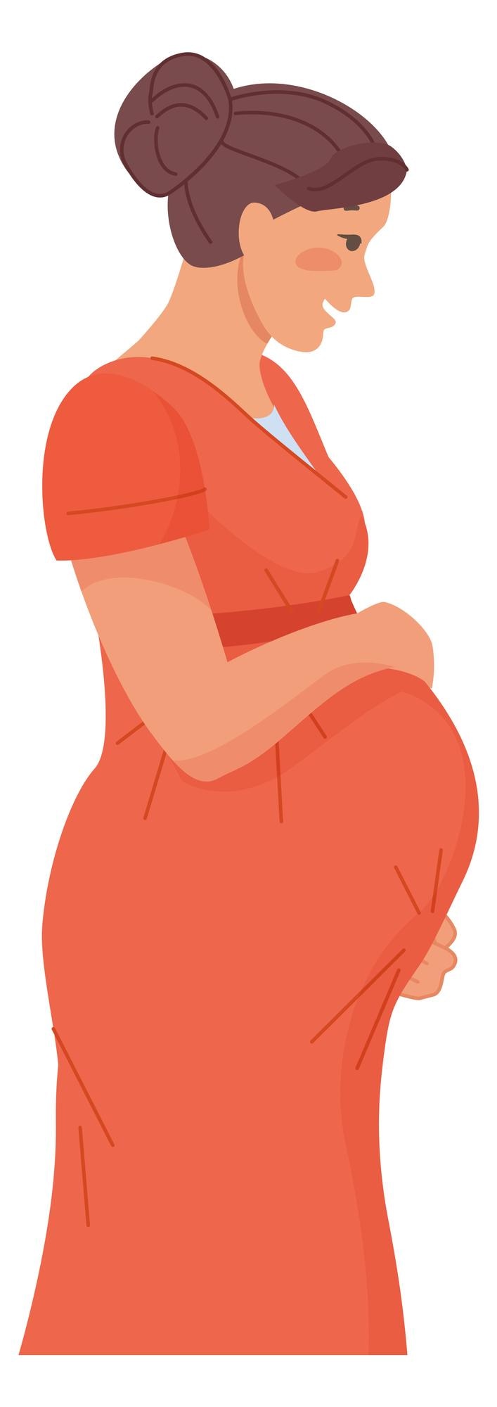 Vector woman expecting baby pregnancy late stage belly