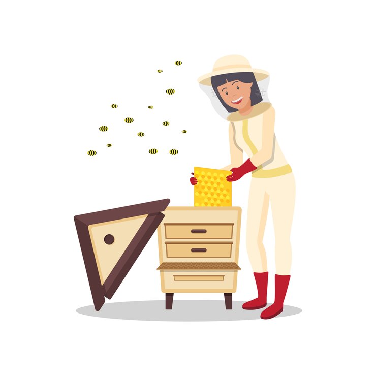 Vector woman with honeycomb in hand stands near beehive.