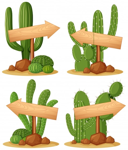 Wooden signs in cactus garden illustration