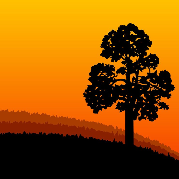 Vector woodland eco banner can be used as poster badge wallpaper backdrop background icon sign sunset