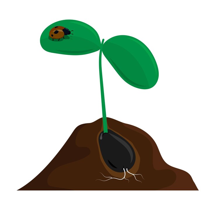 Vector young plant sprouts from seed in ground gardening and growing fruits and vegetables on farm