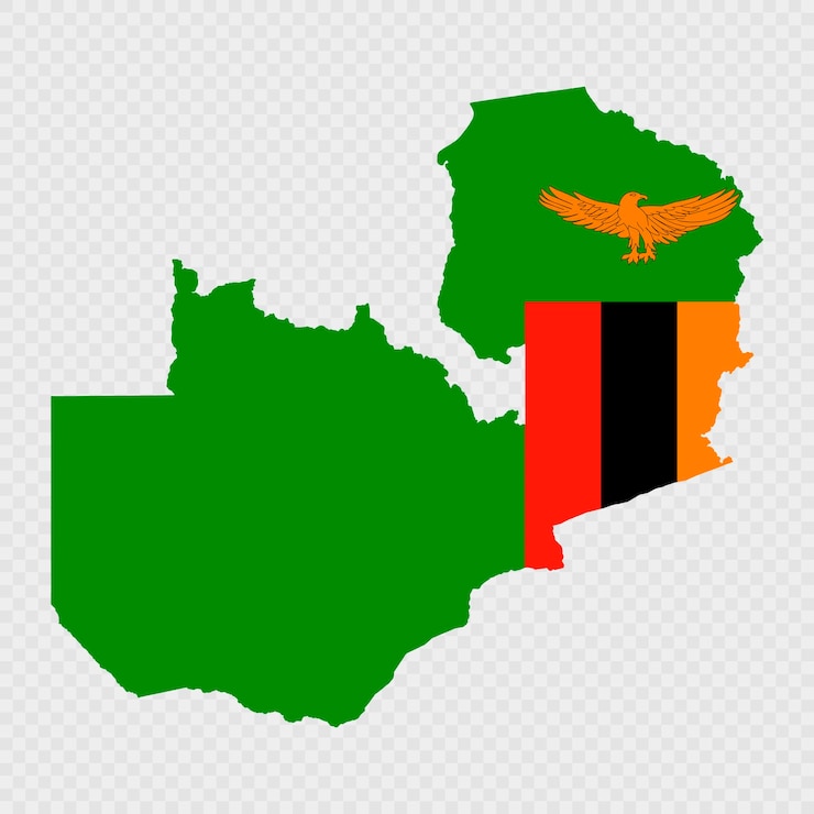 Vector zambia map silhouette with flag