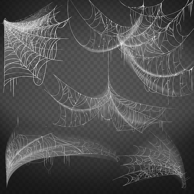 Kostenloser Vektor abbildung des spinnennetzes der verschiedenen formen, weißes gespenstisches spinnennetz