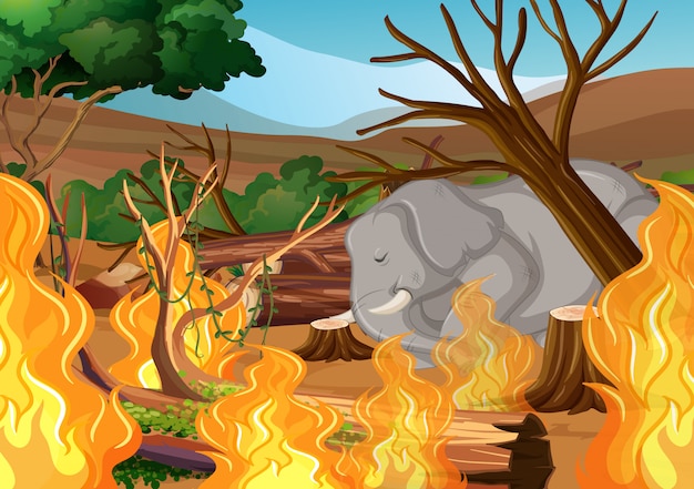 Abholzung mit Elefanten und verheerendem Feuer