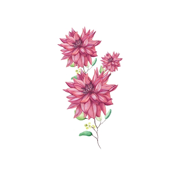 Abstrakte Blumen-Blumenstrauß-Rosa-Grün-Aquarell-Hintergrund-Illustration-hohe Auflösung-freies Foto