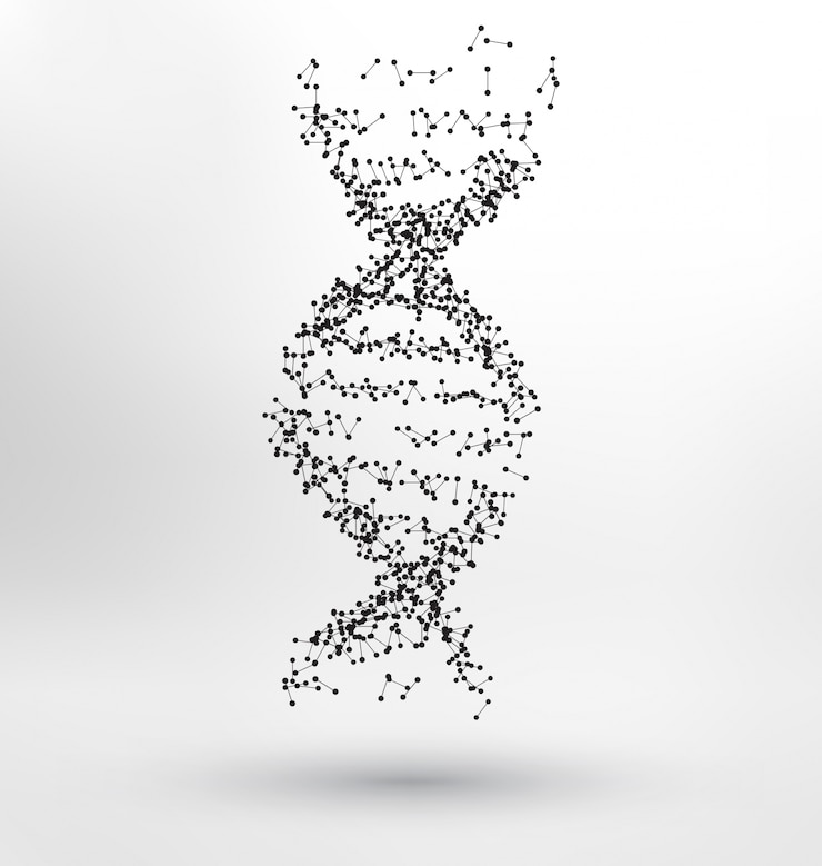 Kostenlose Vektor abstrakte menschliche dna