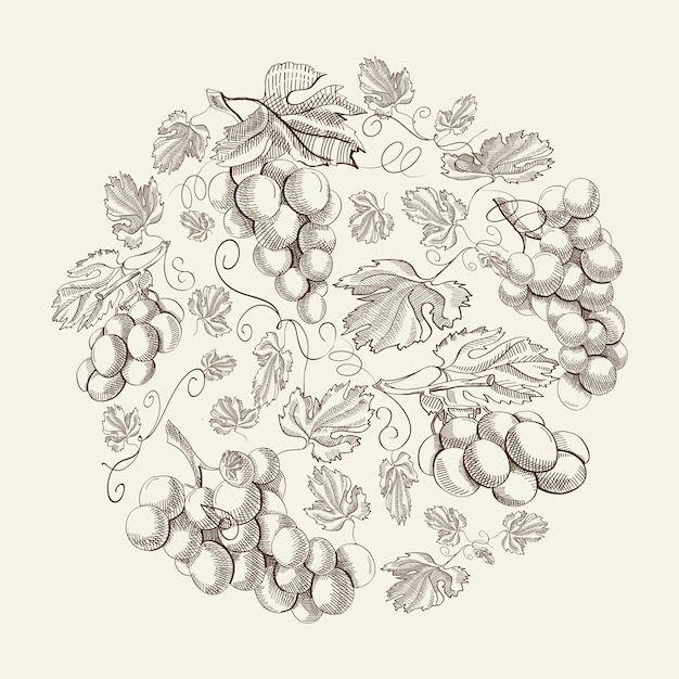 Kostenloser Vektor abstrakte natürliche blumenweinlesezusammensetzung mit weintrauben im handgezeichneten stil auf licht