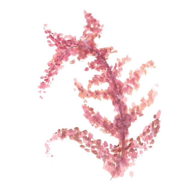 Abstraktes Blatt-Element-Rosa-Aquarell-Hintergrund-Illustrations-hohe Auflösung-freies Foto