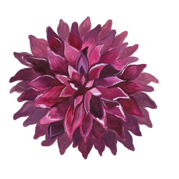Abstraktes Blumen-Element-Rosa-Aquarell-Hintergrund-Illustrations-hohe Auflösung-freies Foto
