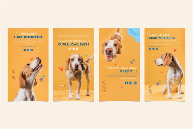 Adoptiere ein Haustier Instagram Geschichten