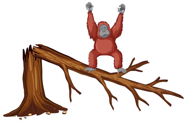 Affe auf gebrochenem Zweig