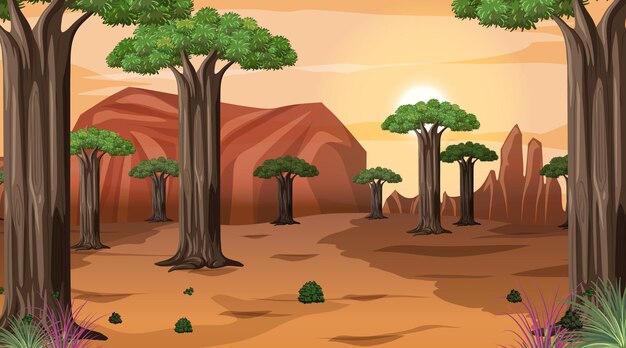 Afrikanische Savannenwaldlandschaftsszene bei Sonnenuntergang