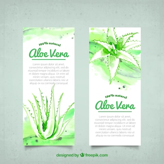 Aloe vera aquarell banner