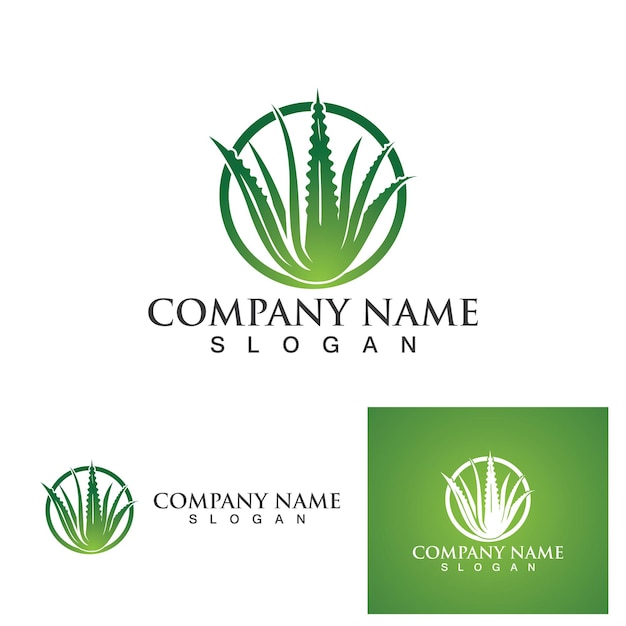 Aloe vera logo und symbolvektor Premium Vektoren
