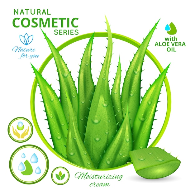 Kostenloser Vektor aloe vera naturkosmetik poster