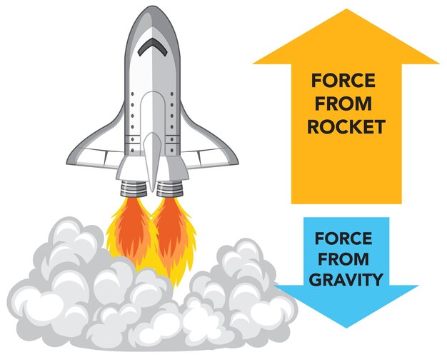 Kostenloser Vektor anatomie flüssiger und fester raketen