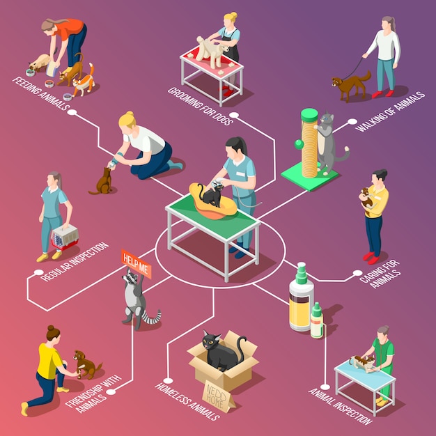 Animal Care Volunteers Isometric Flowchart