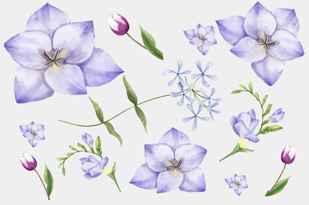 Kostenloser Vektor aquarell blühende blumen vektor-clipart-set