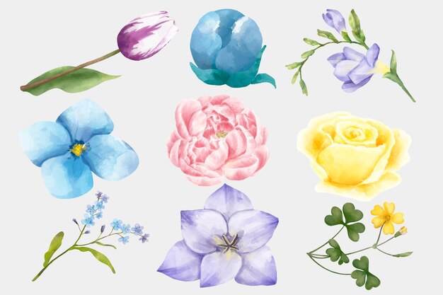 Aquarell blühende Blumen Vektor-Clipart-Set