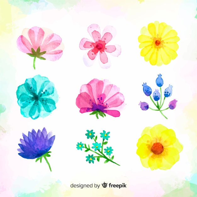 Aquarell Blumen- und Blattsammlung