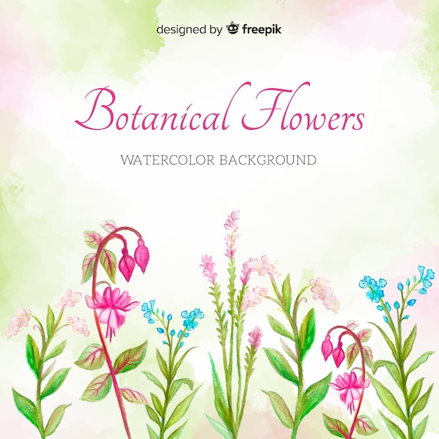 Aquarell botanischer hintergrund