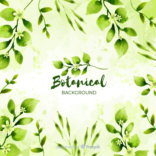 Aquarell botanischer Hintergrund