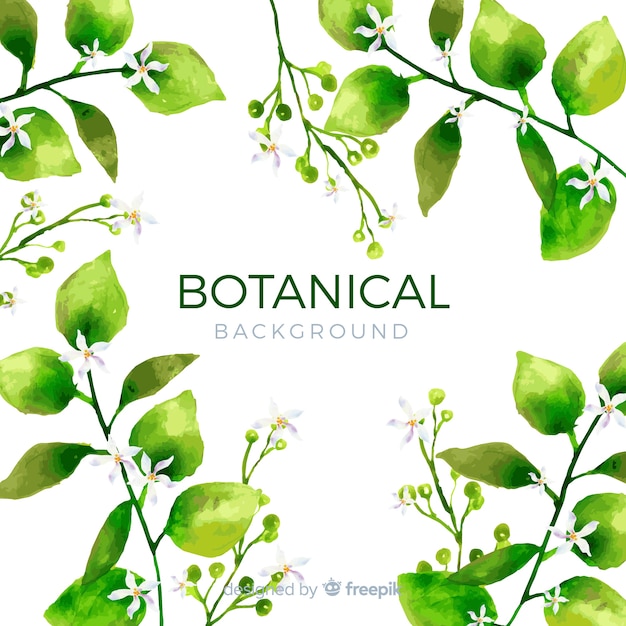 Aquarell botanischer Hintergrund