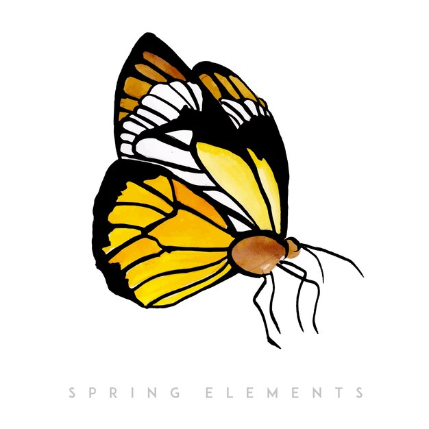 Aquarell Frühling Schmetterling Sammlung