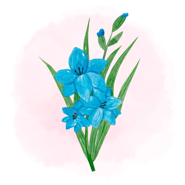 Aquarell Gladiolen Blumen Illustration