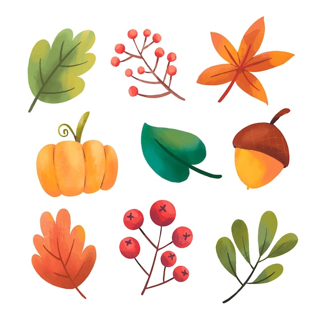 Aquarell Herbst Elemente Sammlung