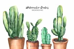 Kostenloser Vektor aquarell kaktus hintergrund