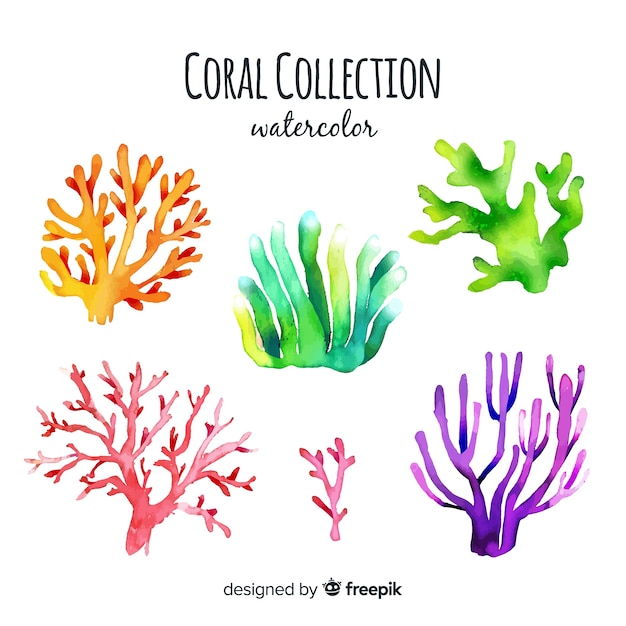 Kostenloser Vektor aquarell korallensammlung