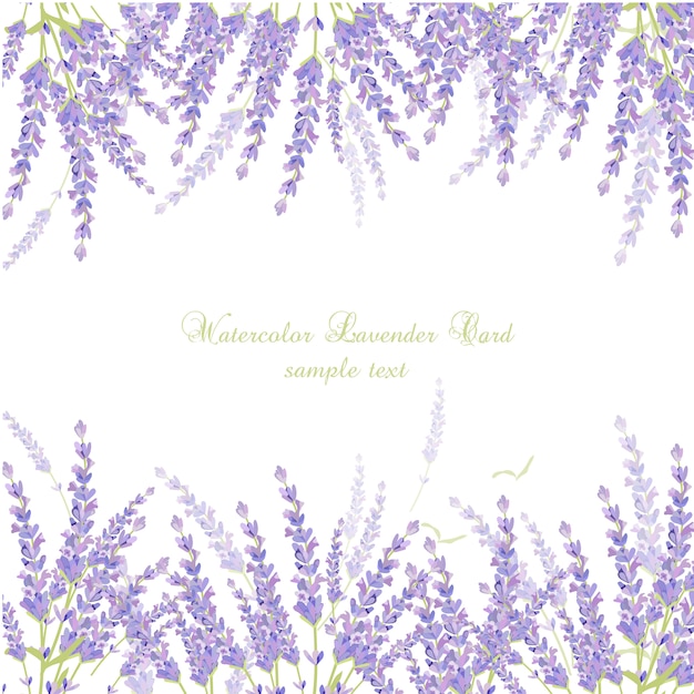 Aquarell-Lavendel-Karte