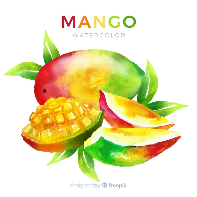 Aquarell Mango Hintergrund