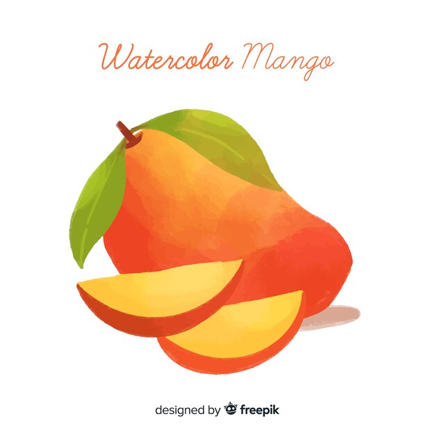 Aquarell-Mango-Illustration