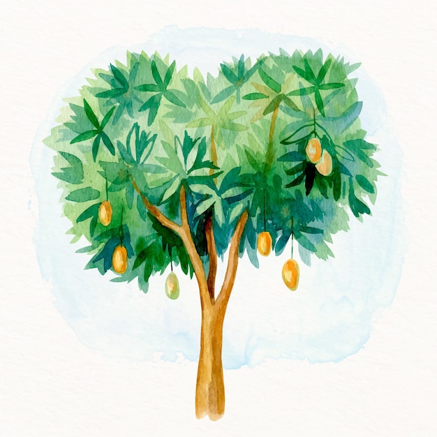 Kostenloser Vektor aquarell-mangobaum mit fruchtillustration