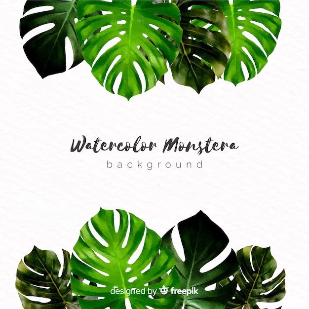 Kostenloser Vektor aquarell monstera verlässt hintergrund