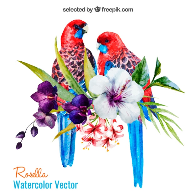 Kostenloser Vektor aquarell papageien und blumen