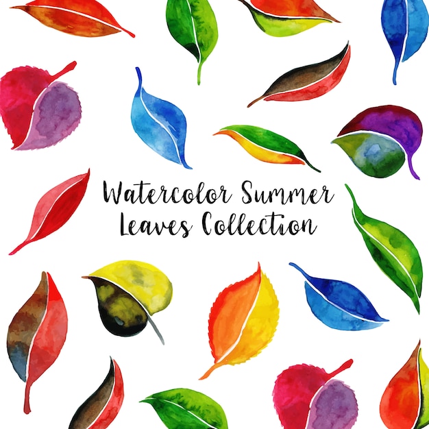 Aquarell Sommer Blätter Sammlung Hintergrund