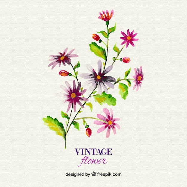 Kostenloser Vektor aquarell vintage blume