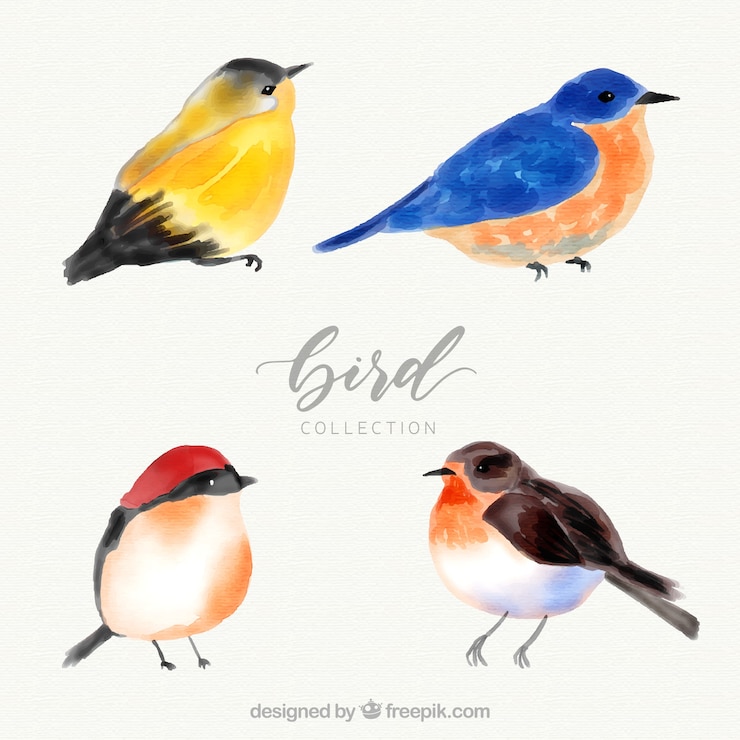Kostenlose Vektor aquarell vogel sammlung