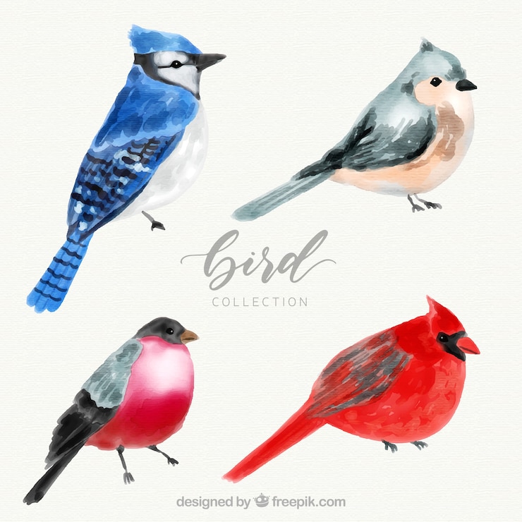 Kostenlose Vektor aquarell vogel sammlung