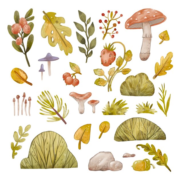 Aquarell Waldtiere Abbildung