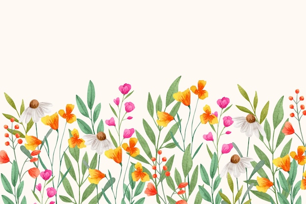 Aquarell Wildblumen Hintergrund