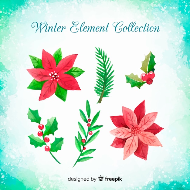 Aquarell winter blumensammlung