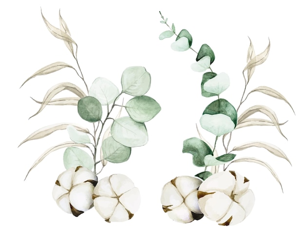 Aquarell-zeichnungsset aus eukalyptusblättern weiden- und baumwollblumen bündel blätter und baumwolle