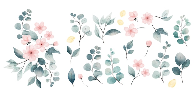 Aquarellblätter und -blumensammlung