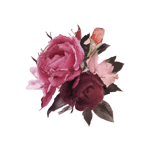 Kostenloser Vektor aquarellfarbene blumensträuße aus rosen und blattdesign