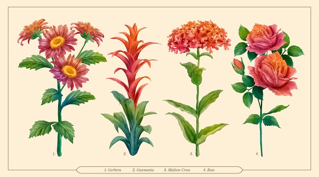 Aquarellfarbener botanischer blumenkartensatz